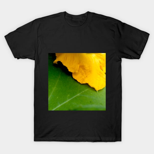 Pumpkin Blossom & Foliage T-Shirt by Hajarsdeco